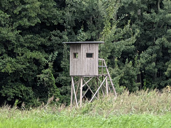 Das Pixel 10 kann maximal 20-fach zoomen. (Bild: Tobias Költzsch/Golem)